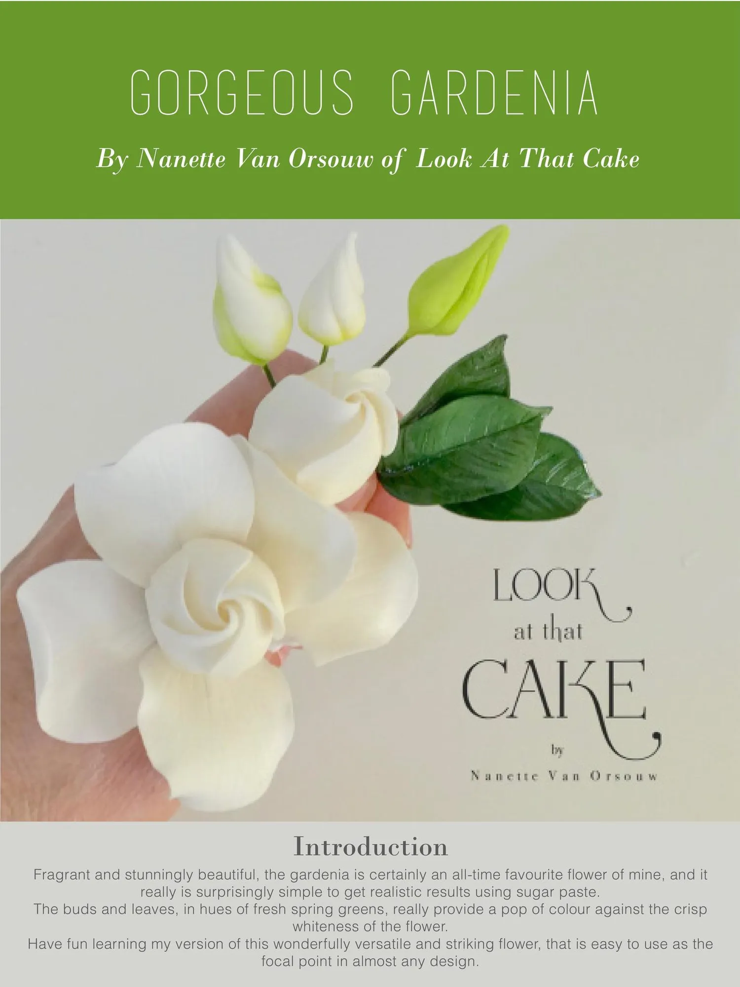 Magazine page 28