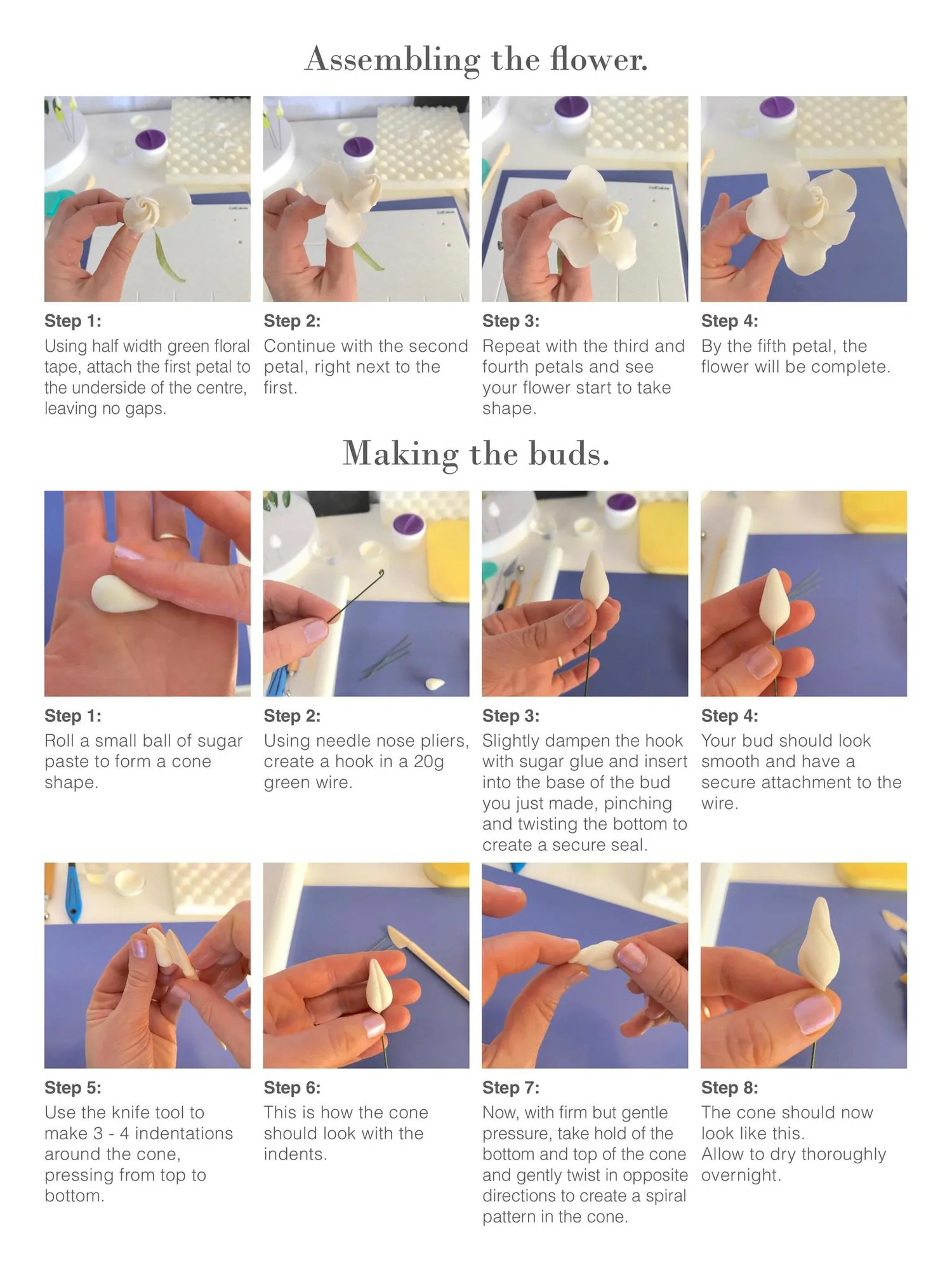 Magazine page 31
