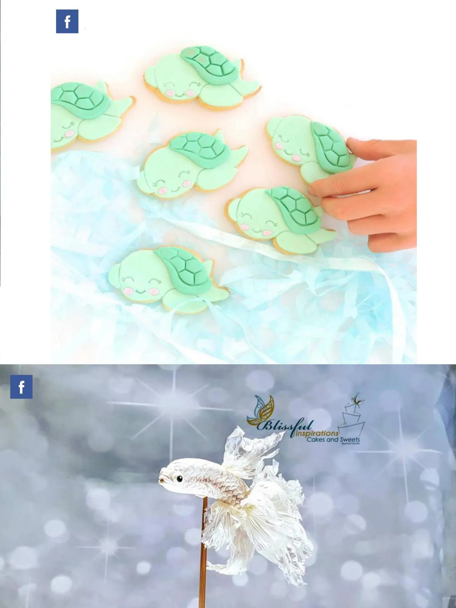 Magazine page 113