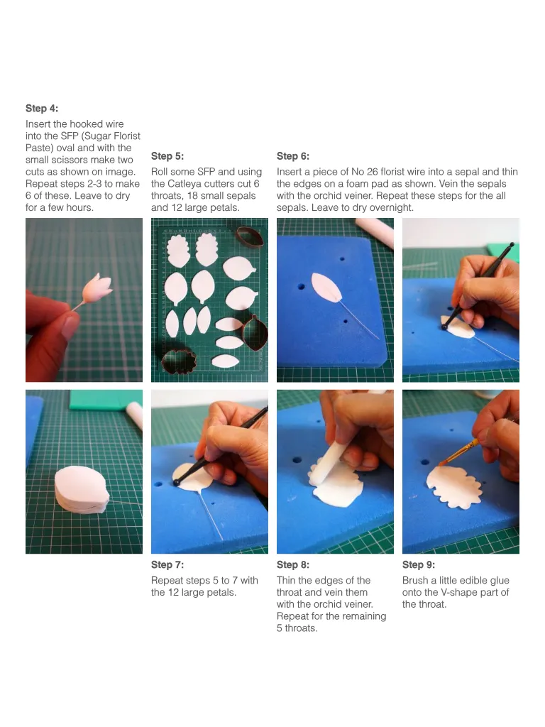 Magazine page 41