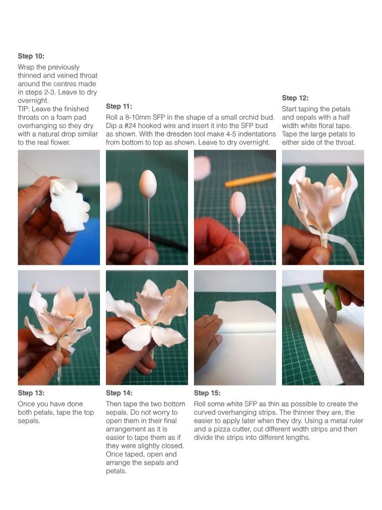 Magazine page 42