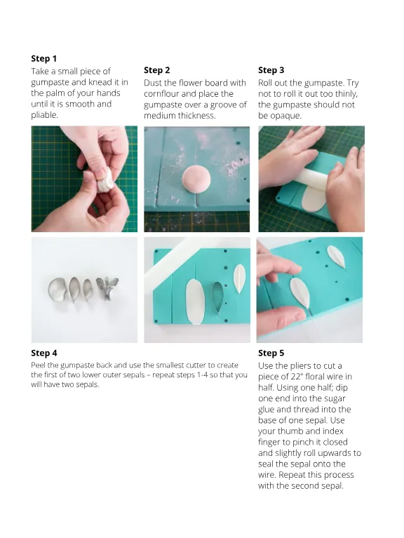 Magazine page 31