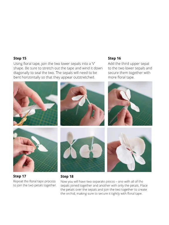 Magazine page 34