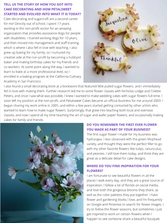 Magazine page 49